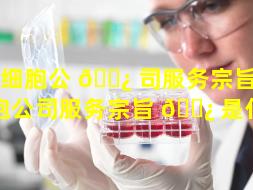 干细胞公 🌿 司服务宗旨（干细胞公司服务宗旨 🌿 是什么）